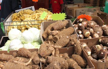 Foire agricole et artisanale de Rivière Pilote en Martinique