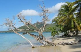 Plage de Sainte Anne
