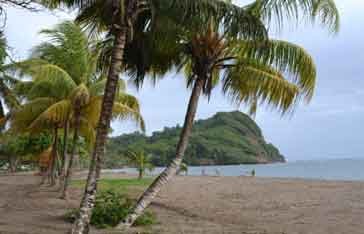 Plage Anse la Richer Sainte-Marie Martinique