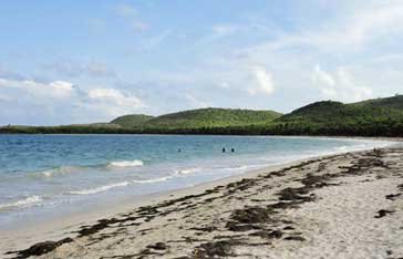 Plage de l'Anse Macabou