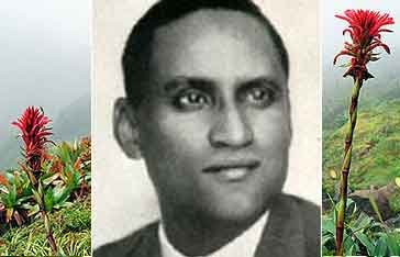 Emmanuel Hermence Véry