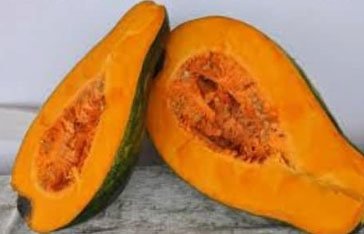 Giraumon de Martinique