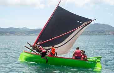 Le gommier en Martinique